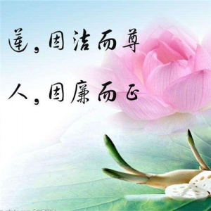 l(xing)Ͷh(yun)̱O(jin)cL(fng)U(xin)ϵy(tng)